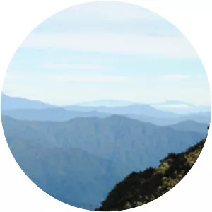 Cerro Pico Blanco - Mountain in North America