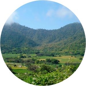 Cerros de Amotape National Park - National park