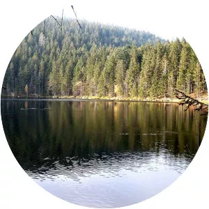 Čertovo jezero - Lake in the Czech Republic