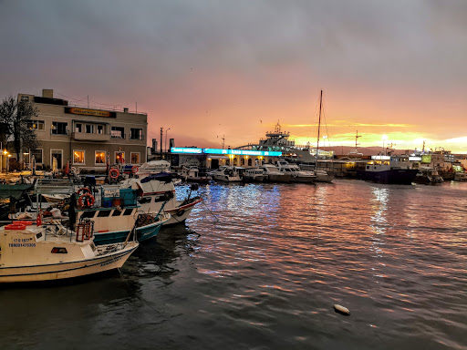 Cesa Ticaret - Auto repair shop in Gelibolu