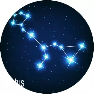 Cetus - Constellation