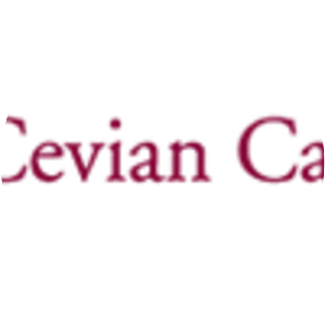 Cevian Capital - Investment company
