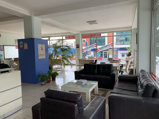 Ceyhan Gayrimenkul - Real estate agency in Istanbul