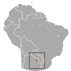 Chacoan pygmy opossum