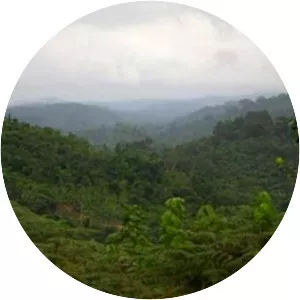 Chaillu Mountains