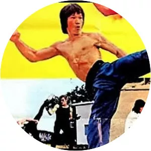 Challenge of the Tiger