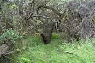 Chamna Natural Preserve - 