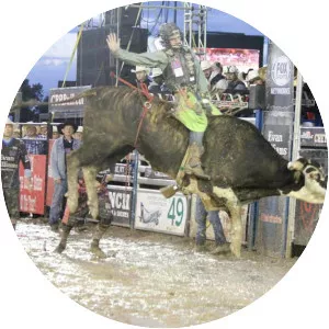 Championship Bull Riding