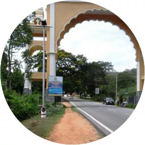 Chamundi Hills - 