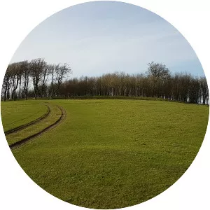 Chanctonbury Ring