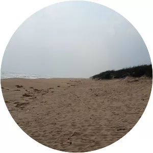 Chandrabhaga beach - 