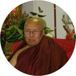 Chanmyay Sayadaw - Monk
