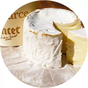 Chaource cheese - 