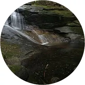 Chapel Brook - Tributary in Massachusetts