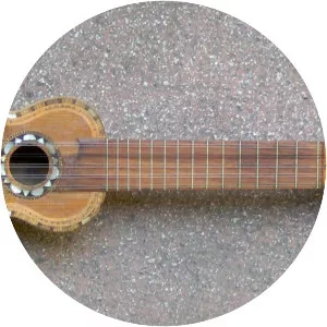 Charango - Musical instrument