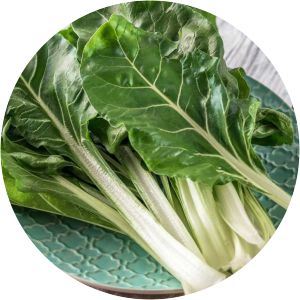 Chard - Plants