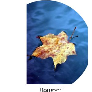 Charles Collins Van Zandt