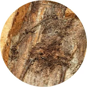 Charles-Étienne Gudin de La Sablonnière