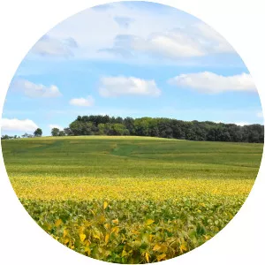 Charles Mound - Hill in Illinois