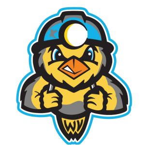 Charleston Dirty Birds