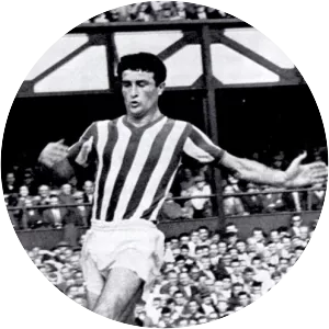 Charlie Hurley - Irish former footballer