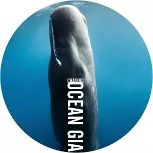 Chasing Ocean GiantsSince 2020