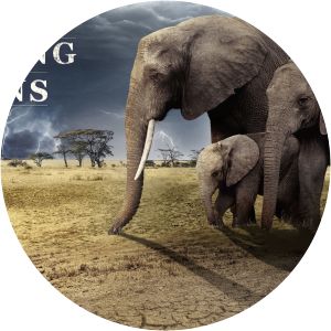 Chasing The Rains - TV series