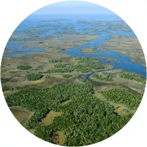 Chassahowitzka National Wildlife Refuge - 