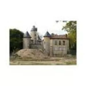 Château de La Motte photograph