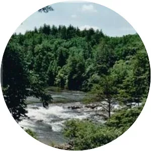 Chattooga River