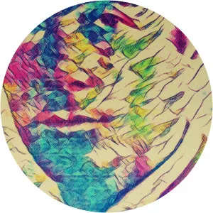 Chaver-Paver - Author