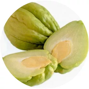 Chayote - Cultivated edible plant