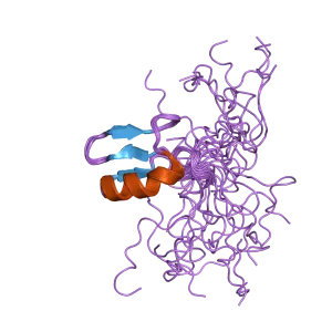 CHD7 - Protein