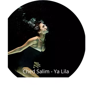 Ched Salim - Musical artist
