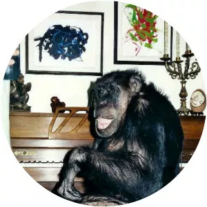 Cheeta - Movie character