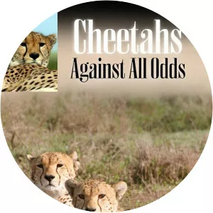 Cheetah: Against All Odds