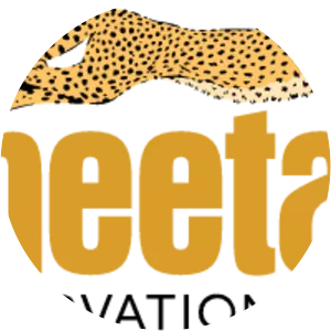 Cheetah Conservation Fund