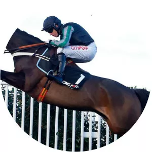 Cheltenham Festival 2017 - TV program