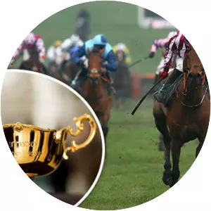 Cheltenham Gold Cup - 
