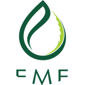 Chemesis International