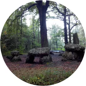 Chêne des Missions - 