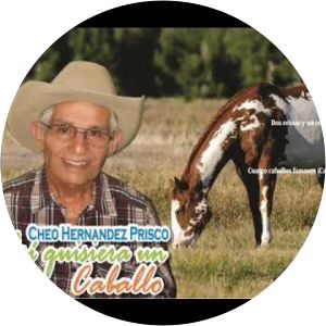 Cheo Hernández Prisco - Singer