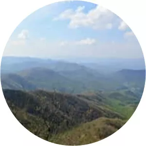 Cheoah Bald photograph