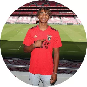 Cher Ndour - Italian football player