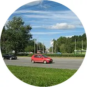 Chernyayevsky Forest - 