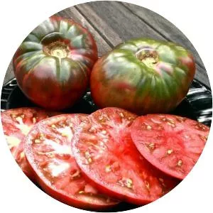 Cherokee purple - Plants