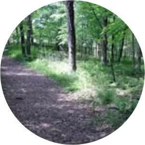 Cherry Hill Nature Preserve - 