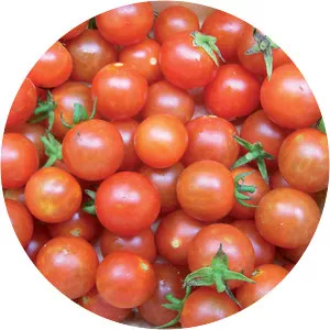 Cherry tomato