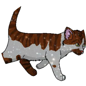 Cherrykit photograph