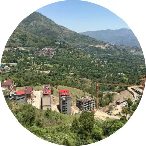 Chester Hills - Author